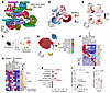 Myeloid-lineage cells express senescence markers in aged murine bone marrow