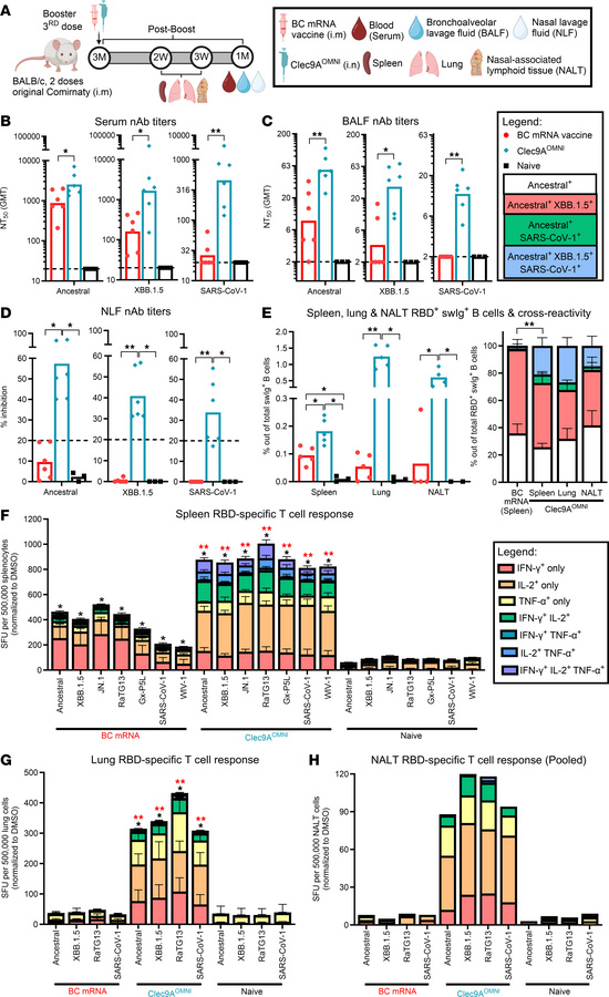 Breadth of nAb and cellular responses upon nasal booster with Clec9AOMNI...
