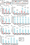 IgG and IgA responses upon nasal booster with Clec9AOMNI versus systemic bo