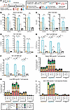 Comparison of nasal boosting with Clec9AOMNI versus systemic or nontargetin