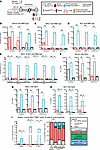 Durability of antibody responses upon nasal booster with Clec9AOMNI versus
