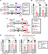 Protective efficacy of Clec9AOMNI nasal booster versus BC mRNA vaccine syst