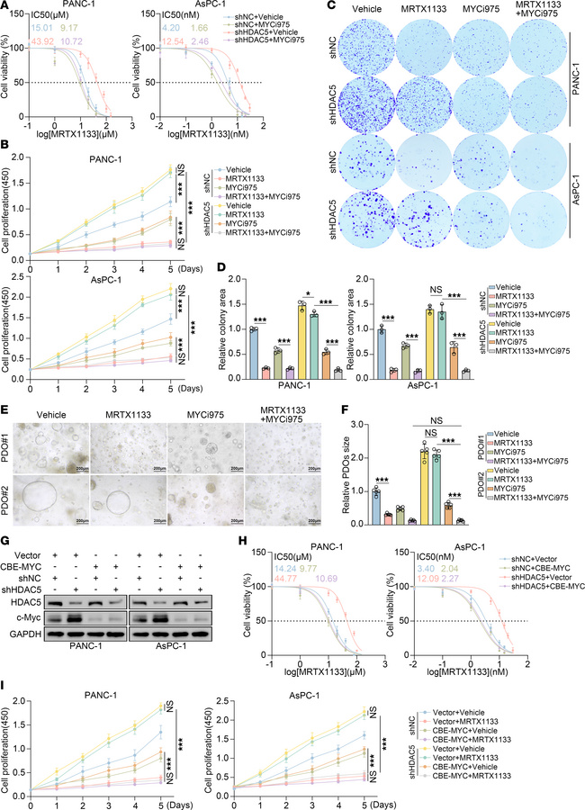 Pharmacological or genetic inhibition of c-Myc overcomes the resistance ...