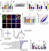 EZH2 maintains a hyper-m6A state in PCa cells.