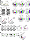 EZH2 enzymatic inhibitors suppress PCa progression through YTHDF1.