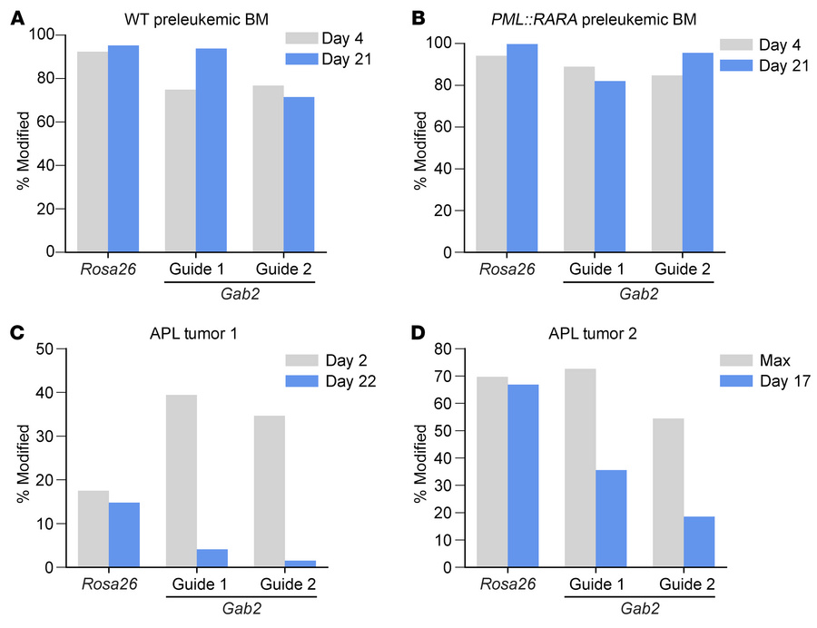 
Gab2 inactivation mitigates the growth of murine APL cells.
(A and B) B...