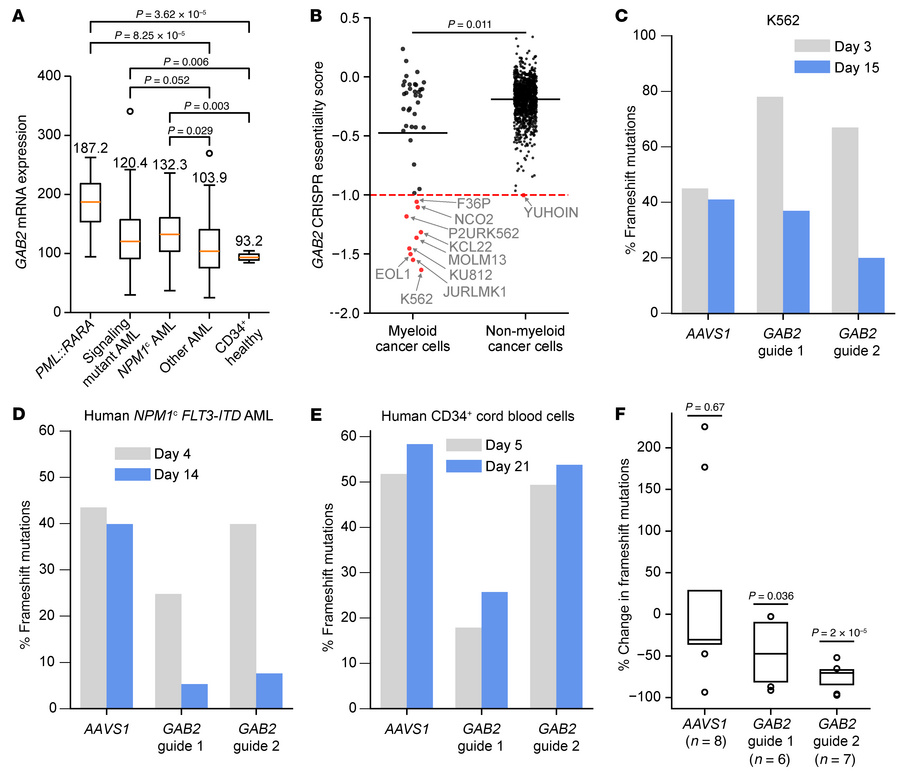 Inactivation of GAB2 mitigates the growth of some human AML samples.
(A)...