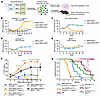 Retroviral overexpression of Gab2 causes the expansion of HSPCs and acceler