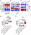 The GAB2 protein interactome is shaped by Dnmt3aR878H and Npm1cA mutations.
