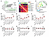 Some RTK/RAS signaling proteins display posttranscriptionally increased pro