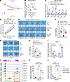 ZEB1/HDAC1 inhibits the recruitment and function of CD8+ T cells by epigene