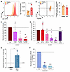Role of platelets in neutrophil adhesion to ICs in patients with RA.