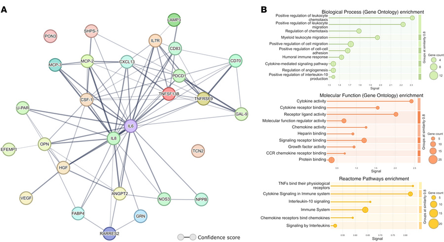 Protein-protein interaction and enrichment analysis among proteins showi...
