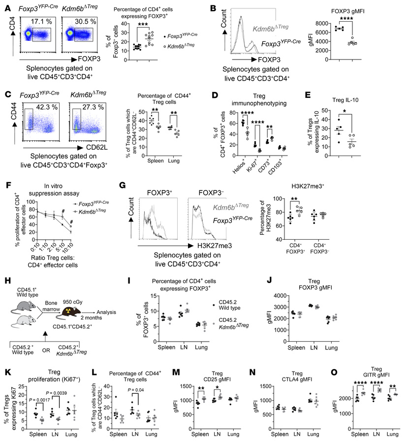 Kdm6b deletion impairs Treg function.
Single-cell suspensions from splee...
