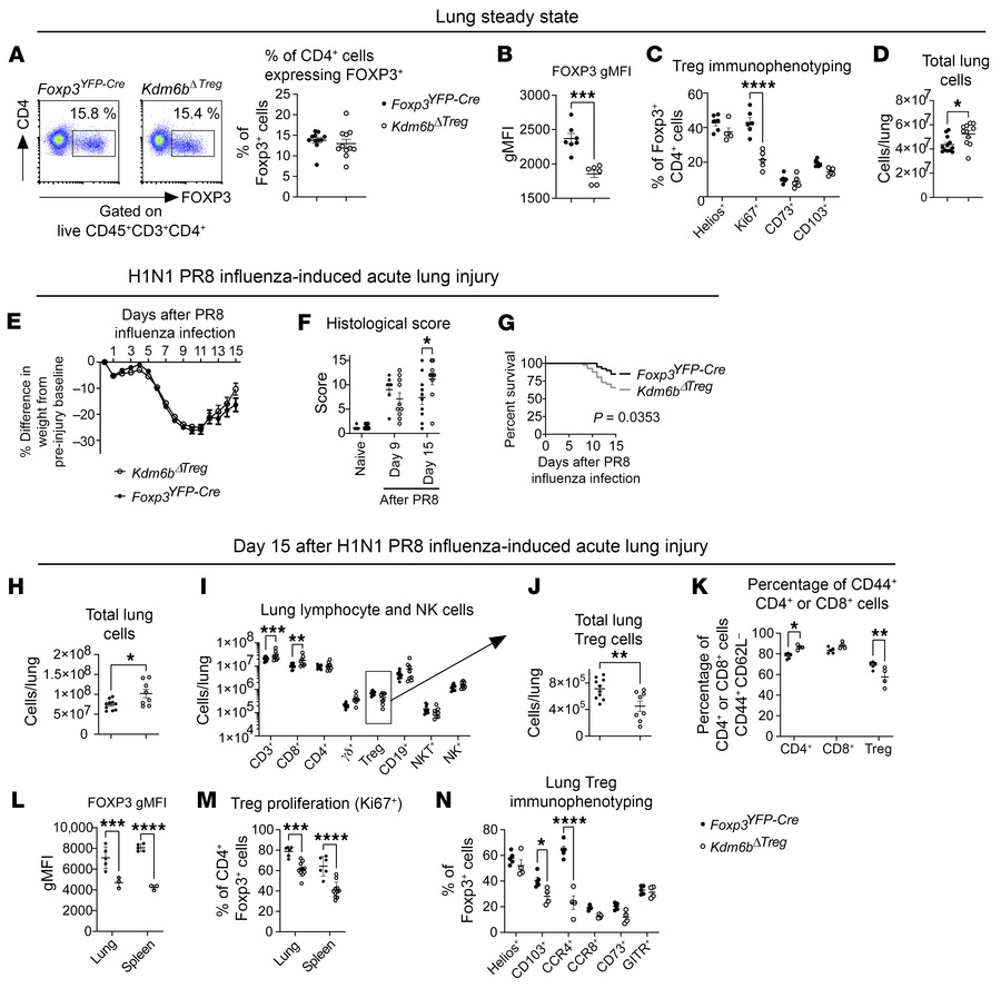 KDM6B is required for full-lung Treg function after injury.
Male and fem...