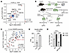 KDM6B is enriched in proximity to FOXP3 in response to TCR signaling and re