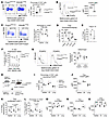Kdm6b deletion impairs Treg function.
