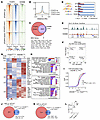 KDM6B coordinates with FOXP3 to regulate Treg functional genes.