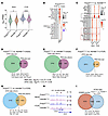 KDM6B regulates chromatin accessibility and transcriptional programs in Tre