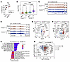 KDM6B controls activation-induced global H3K27me3 level and Treg function i