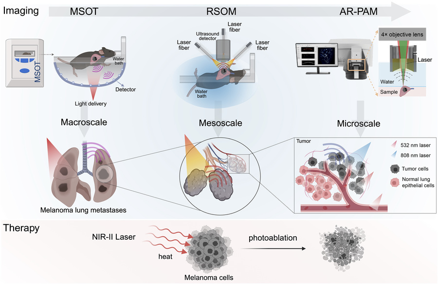 Concept of the pipelined, label-free, multiscale PAI-guided NIR-II photo...