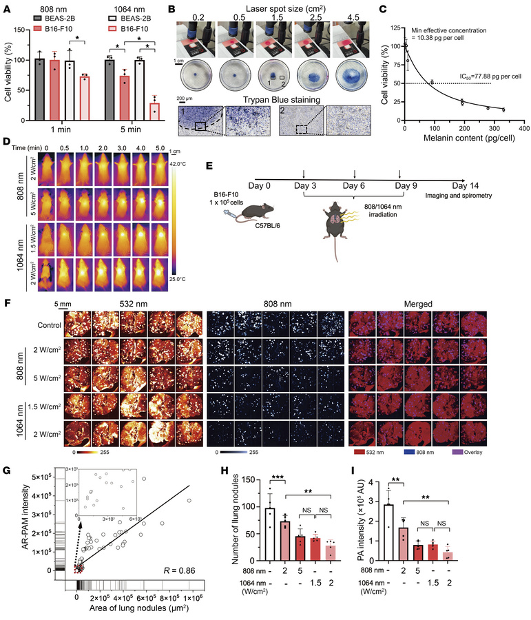 Therapeutic monitoring of drug-free NIR-II photothermal ablation by high...