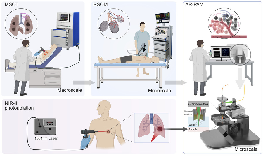 graphical abstract