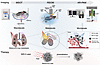Concept of the pipelined, label-free, multiscale PAI-guided NIR-II photoabl
