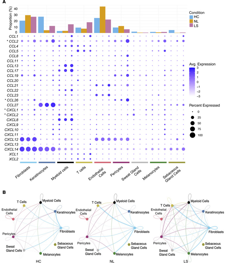 Transcriptional analysis of skin in AD shows increased chemokine gene ex...