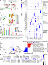 IL-4Rα–dependent dermal fibroblasts express inflammatory chemokines in a mo