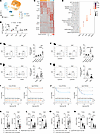 NLRP3+ microglia worsen the prognosis of TBI in aged mice.