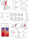 Enhanced aging-induced glycolysis induces the generation of NLRP3+ microgli