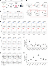 ELF1 predominantly regulates the formation of NLRP3+ microglia.