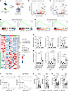 In vivo ablation of ELF1 improves the survival and neurological recovery of