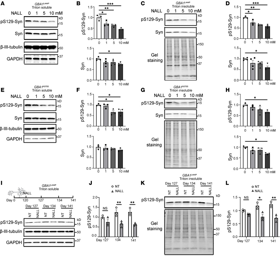 NALL leads to decreased pS129-syn in human dopaminergic neurons with GBA...