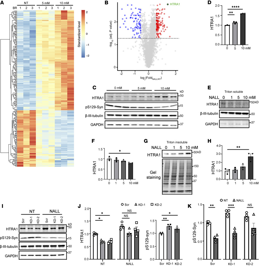 The effect of NALL on pS129-syn was mediated through increasing HTRA1.
(...