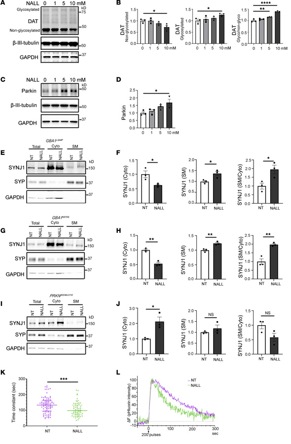 NALL increases functional dopamine transporter and synaptic function thr...
