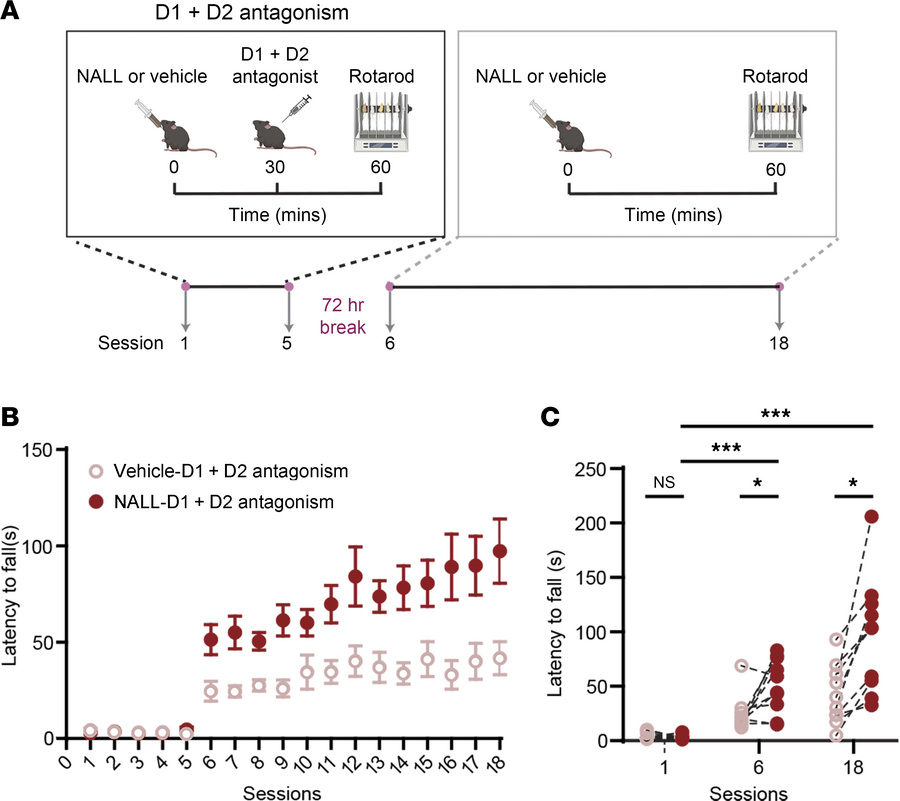 NALL improves dopamine-dependent motor learning impairments in LRRK2R144...