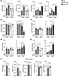 PPARα mediates HFD-induced diastolic dysfunction.