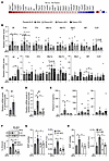 PPARα mediates HFD-induced inflammatory cytokine expression, thereby promot