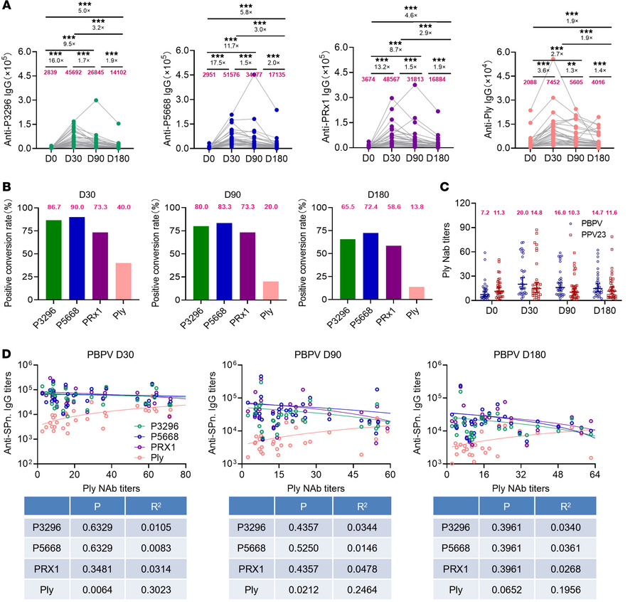 Binding antibodies and neutralizing antibodies induced by PBPV.
(A) Spec...