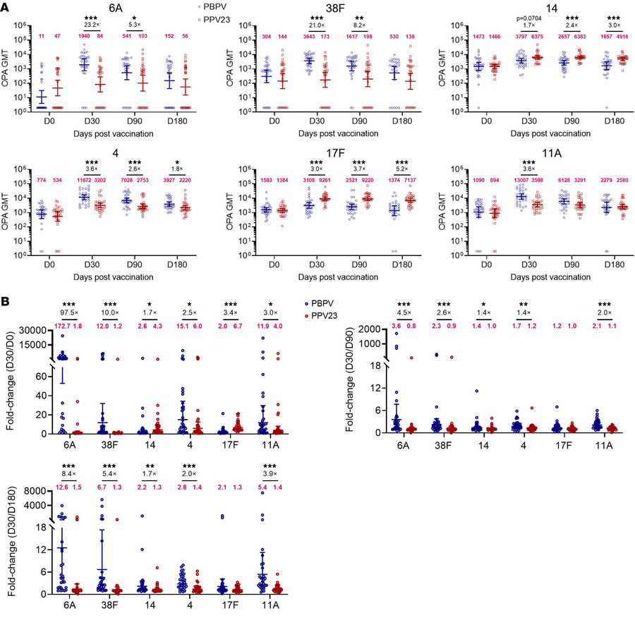 Comparative analysis of OPA between the PBPV and PPV23 groups.
(A) OPA m...