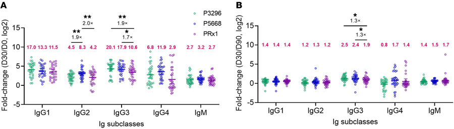 Antibody subclasses induced by PBPV.
(A and B) Fold change in titers of ...