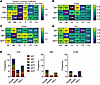 The dominant antibody subclass correlating OPA with different serotypes var