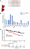 The presence of LP/P variants in KSD genes is associated with higher KS rec