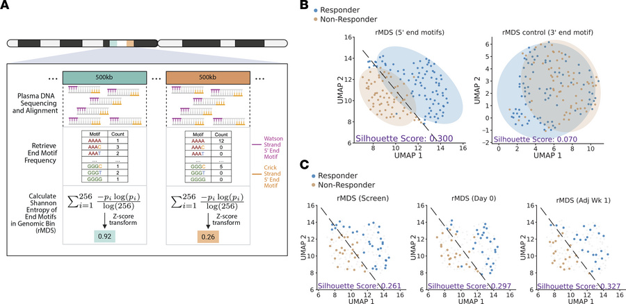 rMDS distinguishes immunotherapy responders from nonresponders.
(A) Sche...