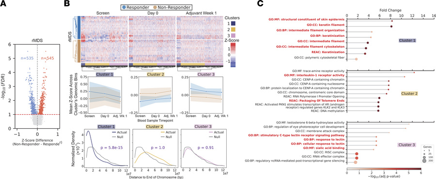 Differential rMDS regions between immunotherapy responders and nonrespon...