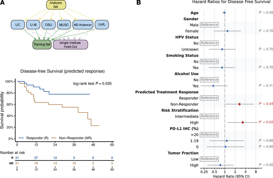 cfDNA rMDS-based model predicts clinical outcomes in patients with HNSCC...