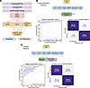 Predicting immunotherapy responses in HNSCC using rMDS.