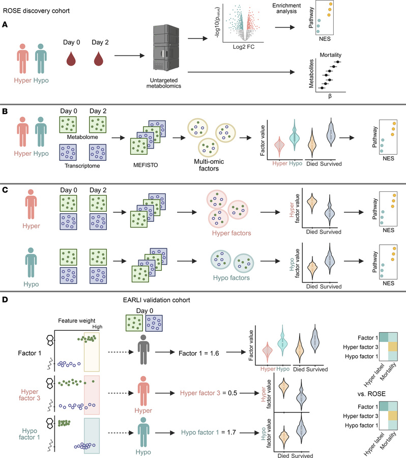 Study overview.
(A) Day 0 and day 2 EDTA plasma from ROSE study particip...